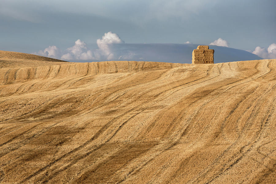 Newly Baled Hay In A Tuscan Field Photograph by Michele Berti