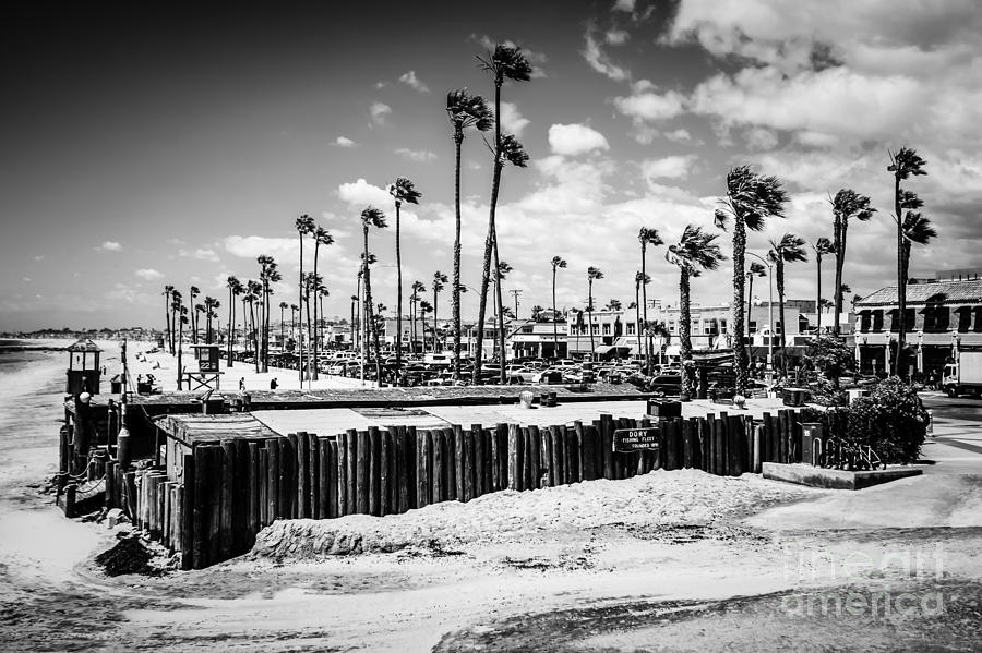 Newport Beach Photograph - Newport Beach Dory Fishing Fleet Black and White Picture by Paul Velgos