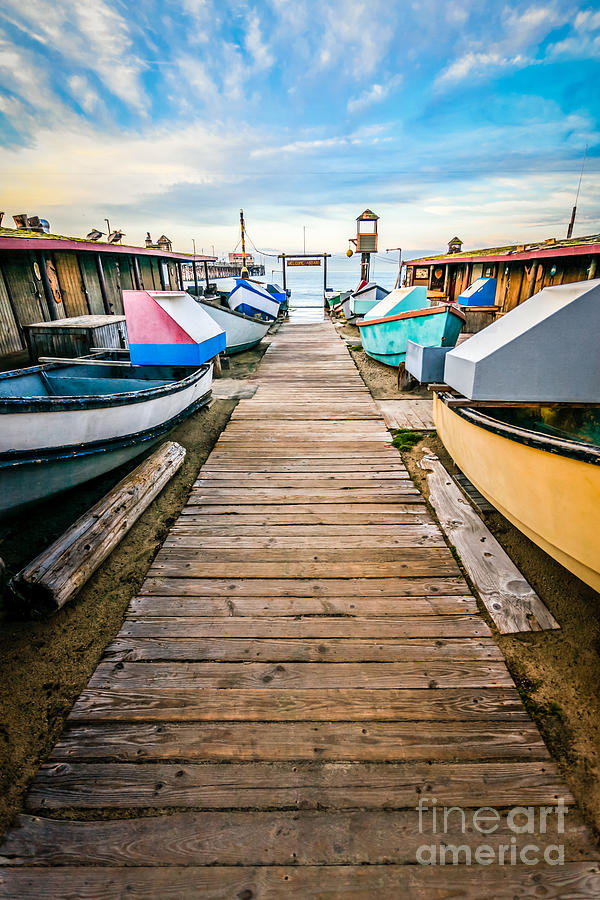 Newport Beach Dory Fishing Fleet Market Photograph by Paul Velgos
