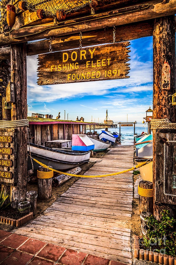 Newport Beach Photograph - Newport Beach Dory Fishing Fleet Market Photo by Paul Velgos