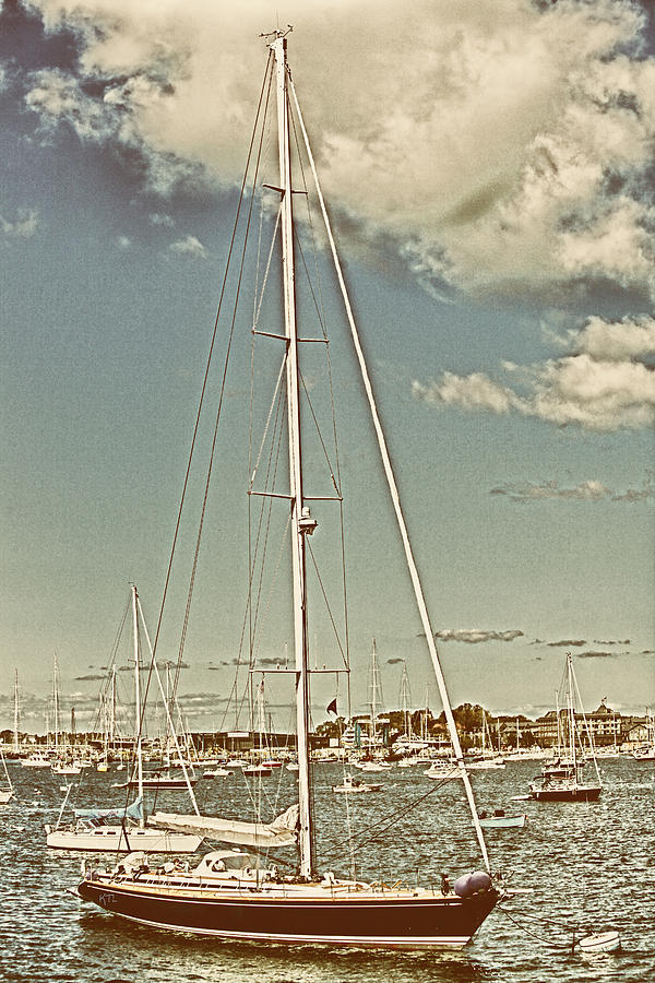 Newport Harbor Photograph by Karol Livote