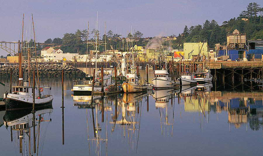 Newport Harbor Oregon Photograph by Buddy Mays