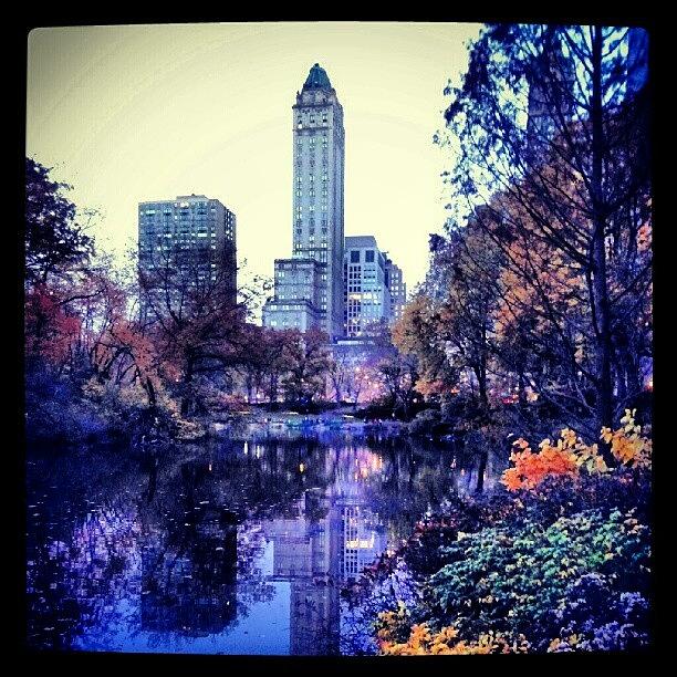 Instagram Photograph - #newyork #centralpark #instagram by Visions Photography by LisaMarie