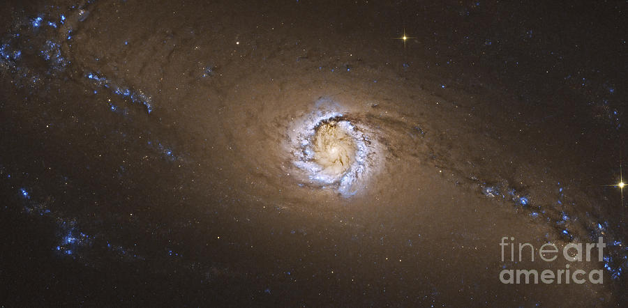 Space Photograph - Ngc 1097, A Barred Spiral Galaxy by Roberto Colombari