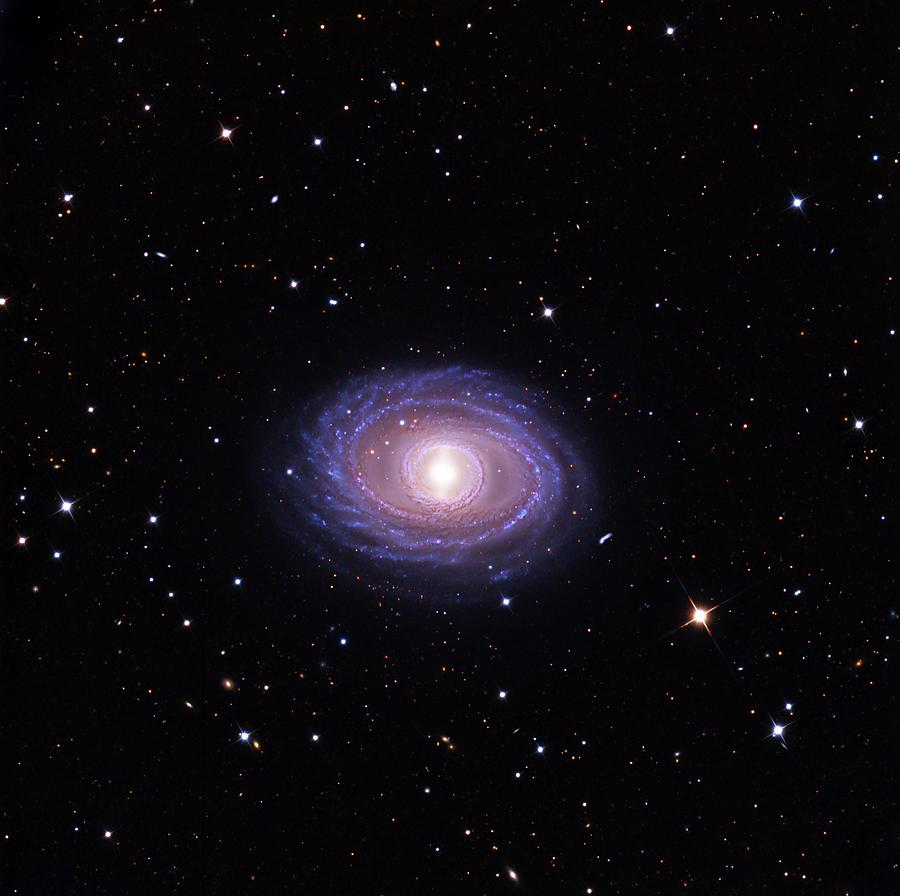 Ngc 1398 Galaxy Photograph by Adam Block/mount Lemmon Skycenter/university Of Arizona