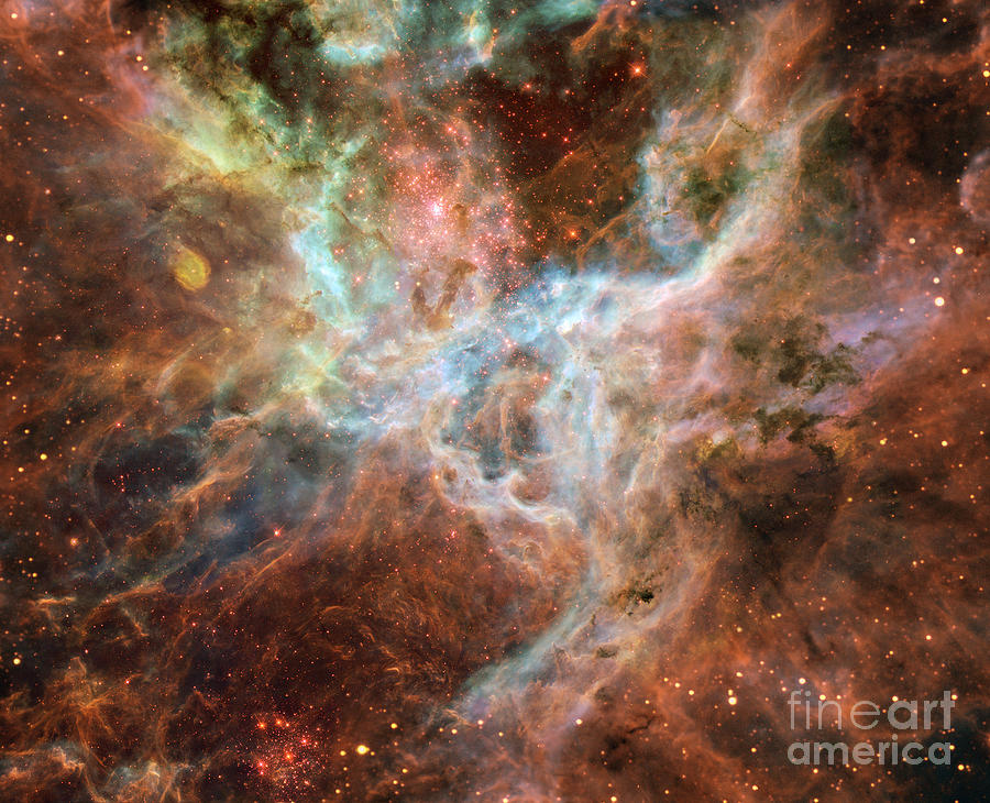 Ngc 2070-Tarantula Nebula Photograph by Science Source