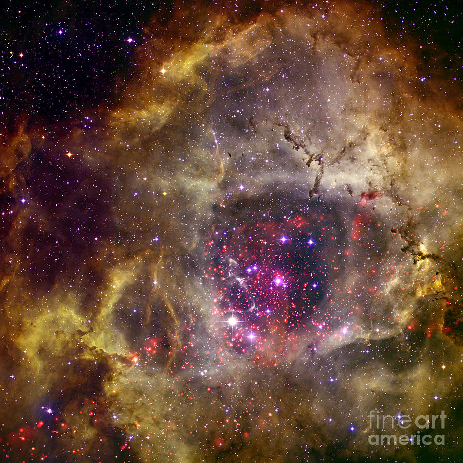 Science Photograph - Ngc 2237 Caldwell 49 Rosette Nebula by Science Source