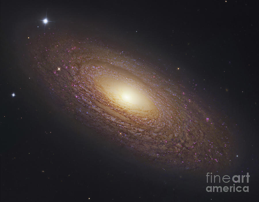Ngc 2841, Spiral Galaxy In Ursa Major Photograph by Robert Gendler