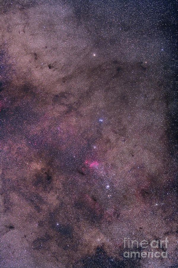 Ngc 6231 Area Oriented Equatorially Photograph