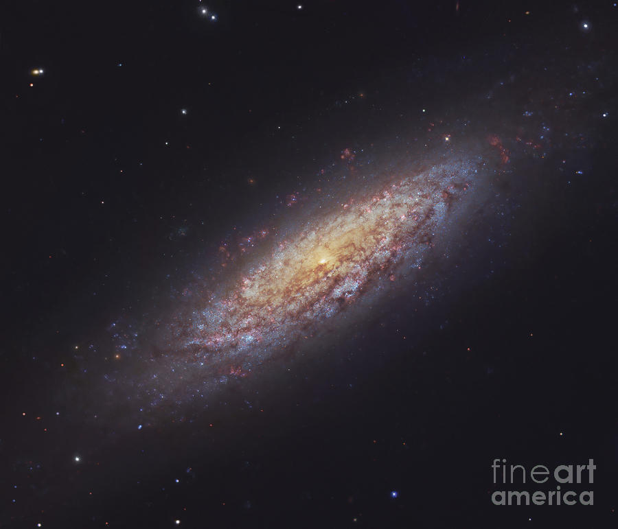 Ngc 6503, Spiral Galaxy Photograph by Robert Gendler