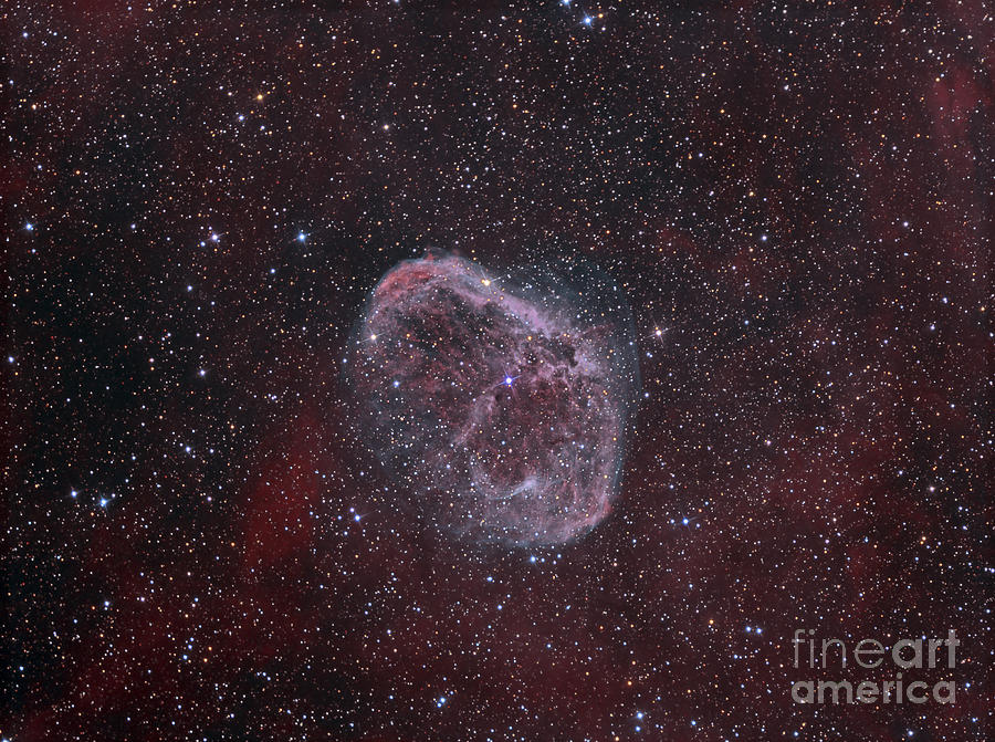 Space Photograph - Ngc 6888, The Crescent Nebula by Reinhold Wittich