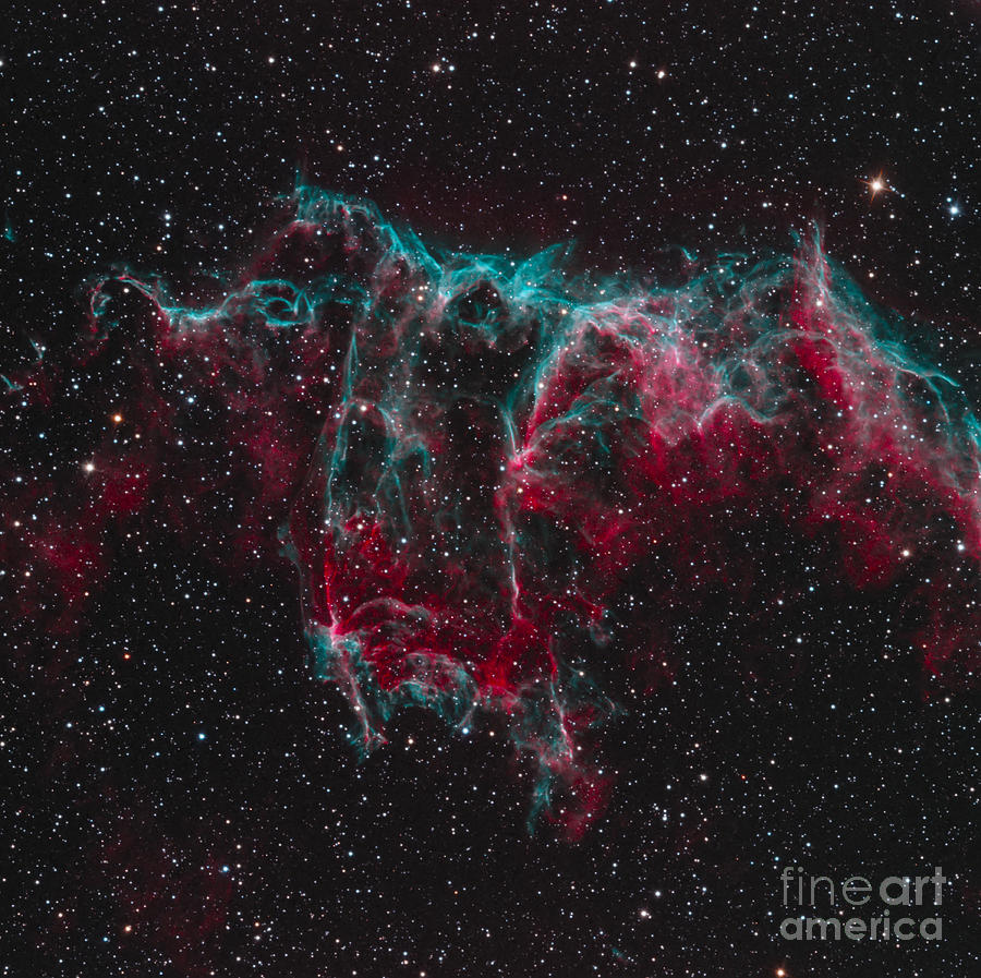 Ngc 6995, The Bat Nebula Photograph by Bob Fera