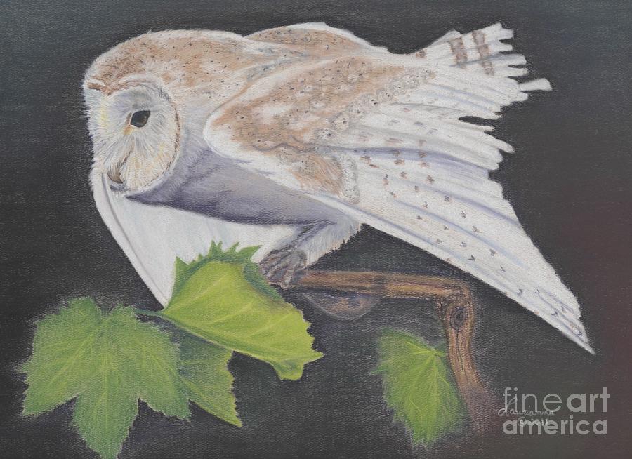 Nght Owl Painting by Laurianna Taylor