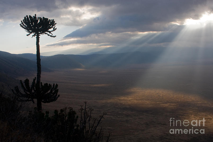 Ngorongoro Crater Photograph by Chris Scroggins