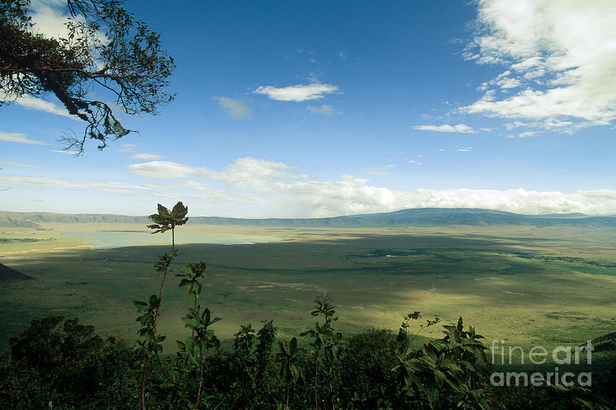 Ngorongoro Crater Photograph by Gregory G. Dimijian, M.D.
