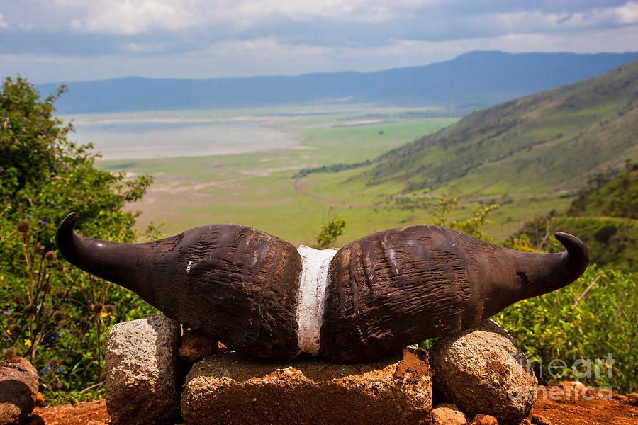 Ngorongoro Crater In Tanzania Photograph