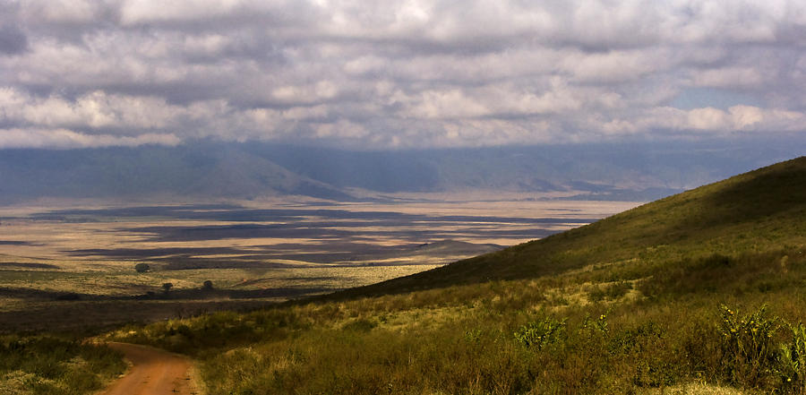 Ngorongoro Crater Road Photograph by Deidre Elzer-Lento