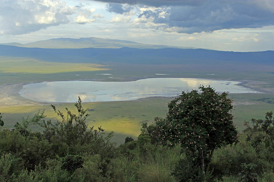 Ngorongoro Crater Photograph by Tony Murtagh