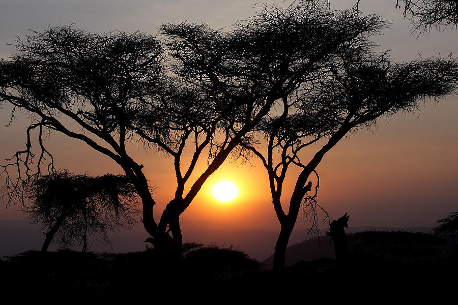 Ngorongoro Sunset II Photograph by Dawn J Benko