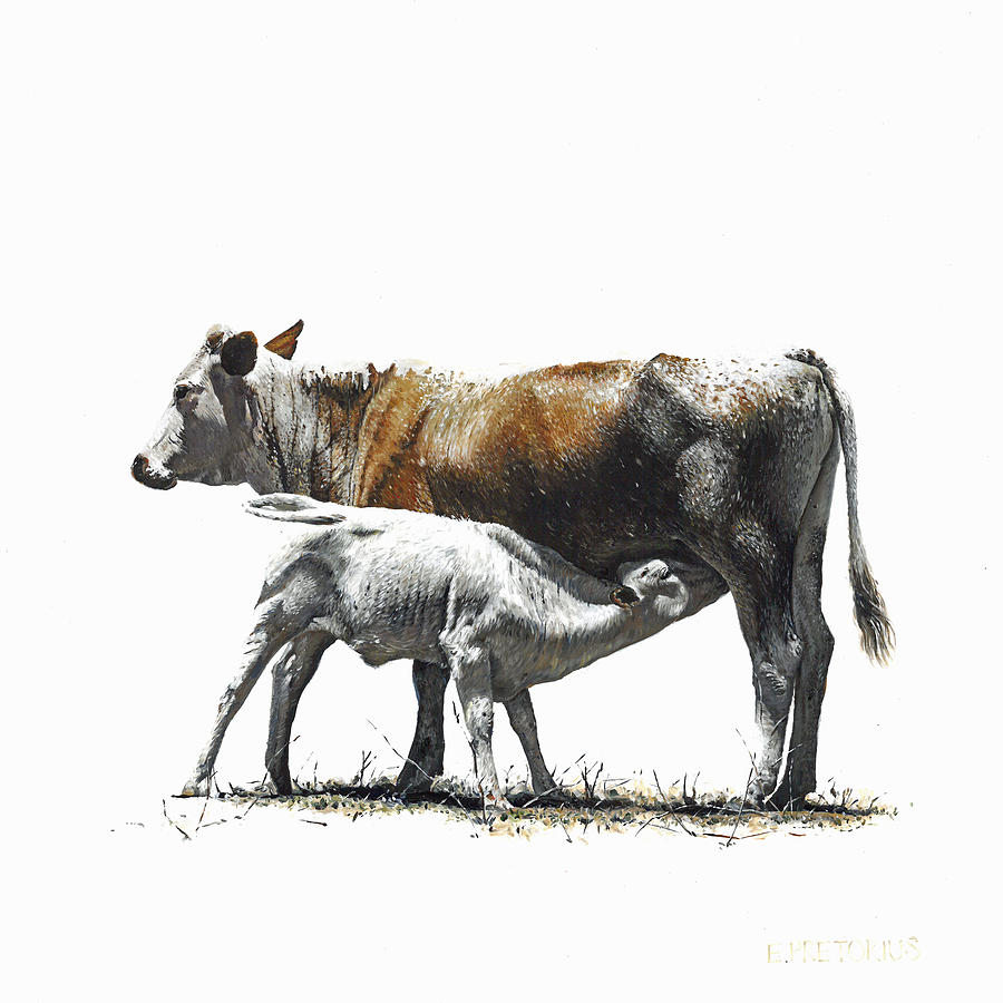 Nguni Painting - Nguni Cow and Calf 3 by Edgar Pretorius Nguni Painting - Nguni Cow and Calf 3 by Edgar Pretorius