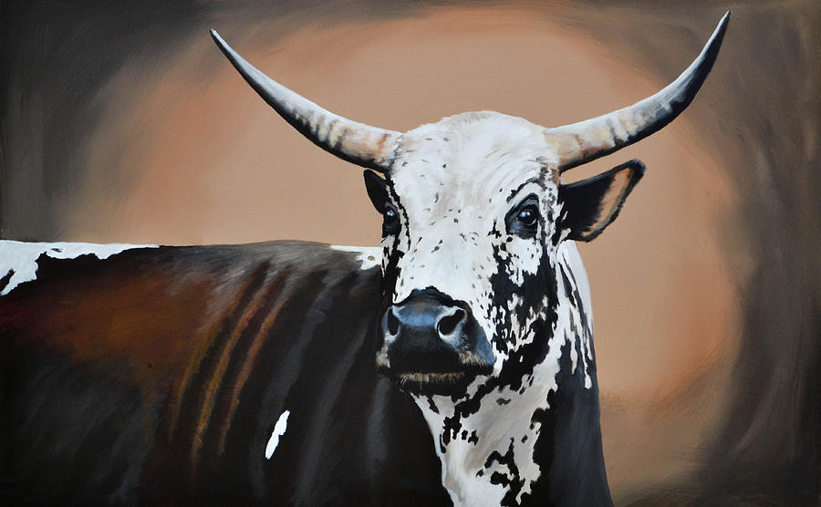 Nguni Cow By Danie Hattingh, 55% OFF | marinet.org