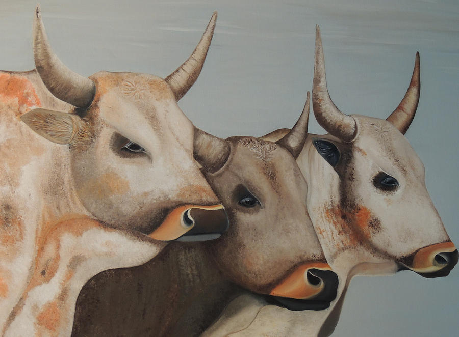 Nguni Cow Painting by Driekie Potgieter - Fine Art America