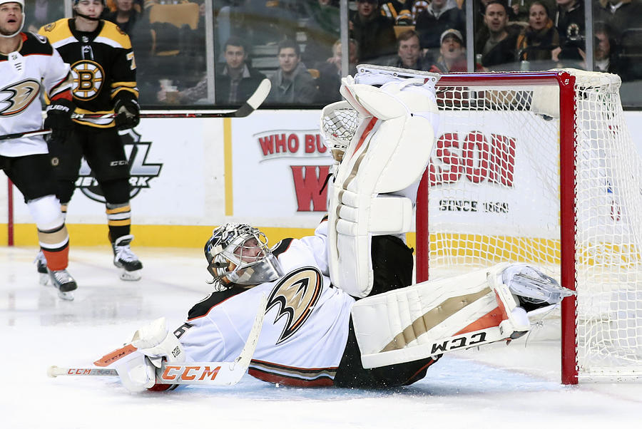 NHL: JAN 30 Ducks at Bruins Photograph by Icon Sportswire