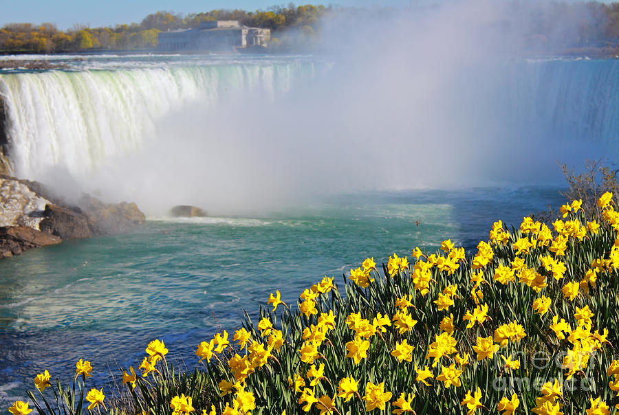 Niagara Falls Spring Photograph by Charline Xia