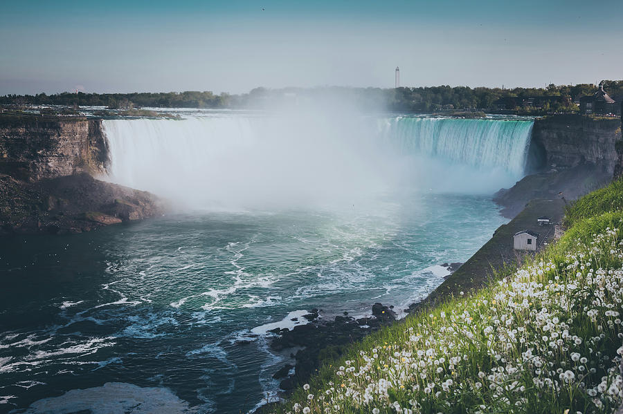 Niagara Falls With Flower And Dandelion Photograph by D3sign