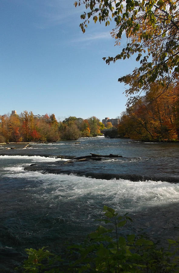Nature Photograph - Niagara River - Autumn by Richard Andrews