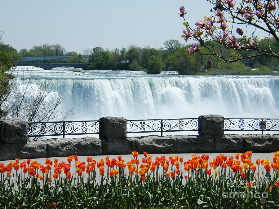 Springtime at Niagara Falls Photograph by Phil Banks