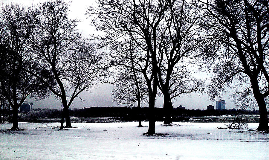 Niagara Winter Beauty Photograph by Iris Gelbart