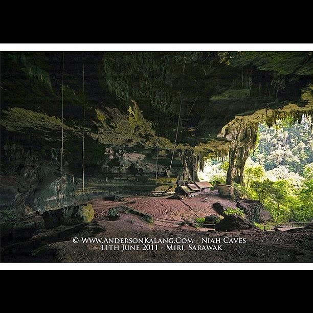 Jungle Photograph - #niahcave #miri #sarawak #malaysia by Anderson Kalang