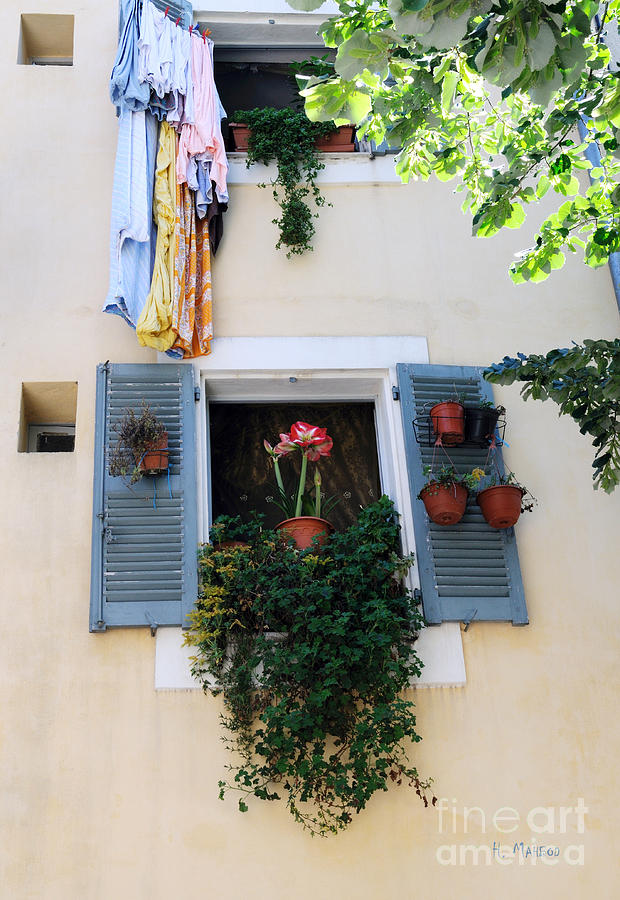 Blue window of flowers Photograph by Haleh Mahbod
