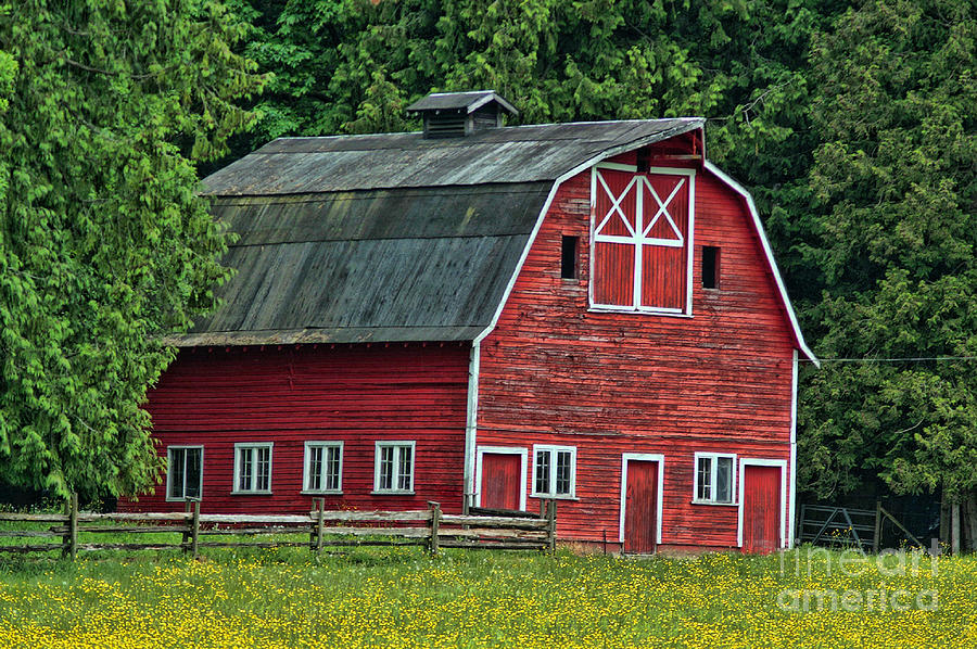 Nice Red Barn Hdrob306-06 Photograph