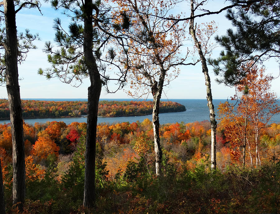 Nicolet Bay Fall View Photograph by David T Wilkinson