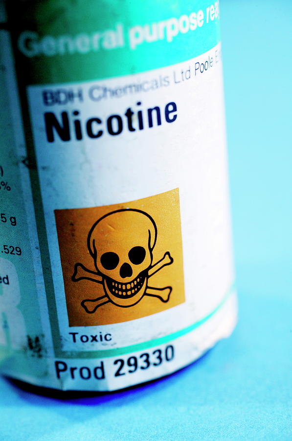 Nicotine For Forensic Research Photograph by Mauro Fermariello/science Photo Library