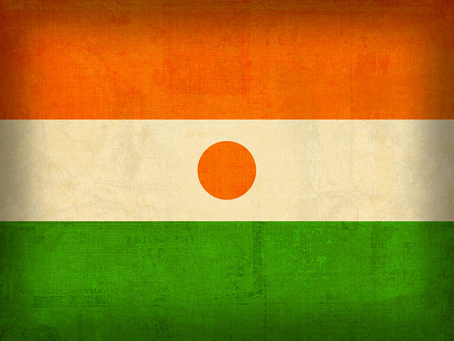 Vintage Mixed Media - Niger Flag Vintage Distressed Finish by Design Turnpike