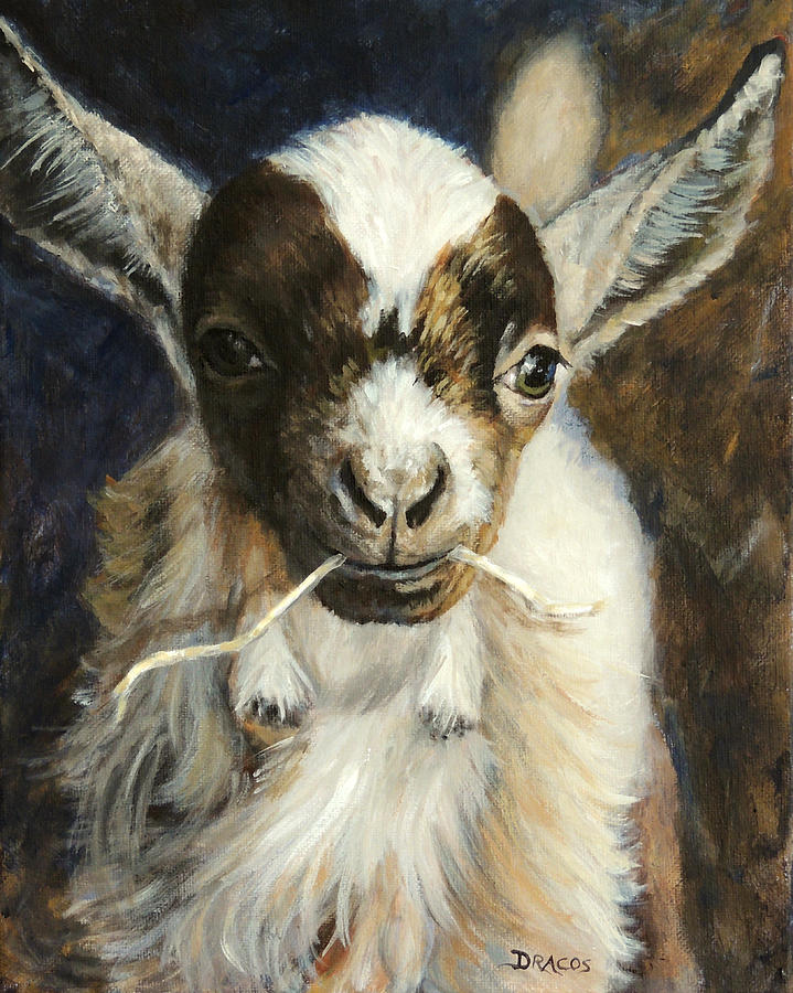 Farm Animals Painting - Nigerian Dwarf Goat with Straw by Dottie Dracos