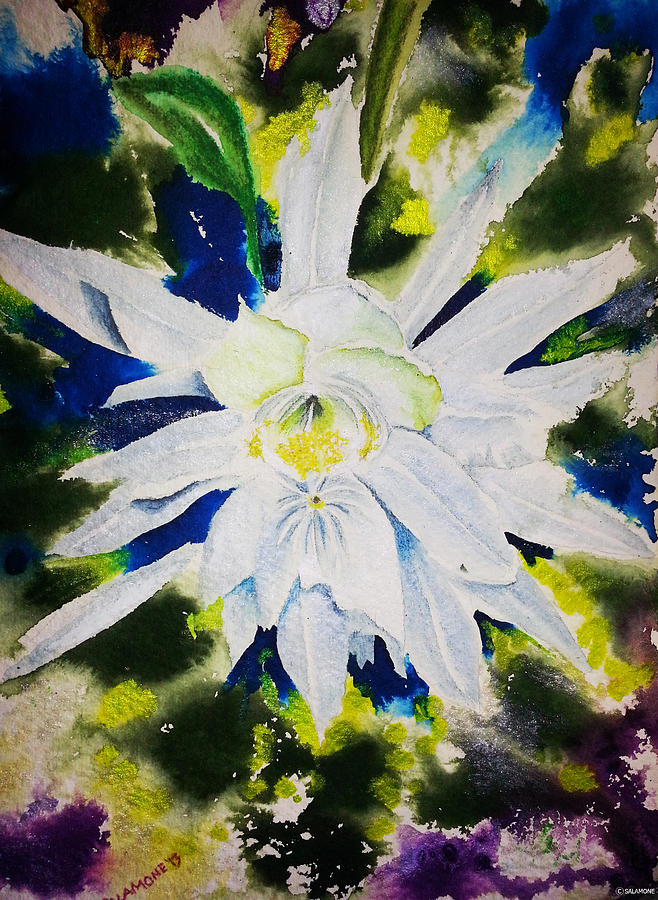 Night Bloomer Painting by Brenda Salamone