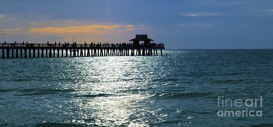 Night Fishing off the Naples Pier Photograph by Elaine Manley
