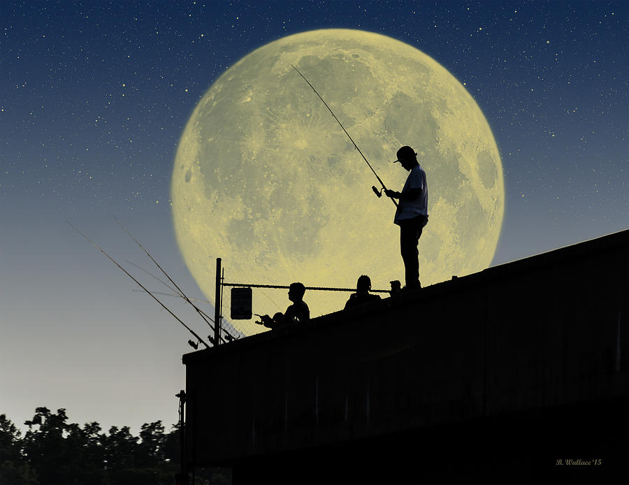 Night Fishing Silhouette Photograph by Brian Wallace