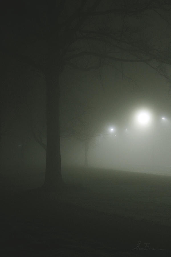 Tree Photograph - Night Fog by Masha  Vereshchenko