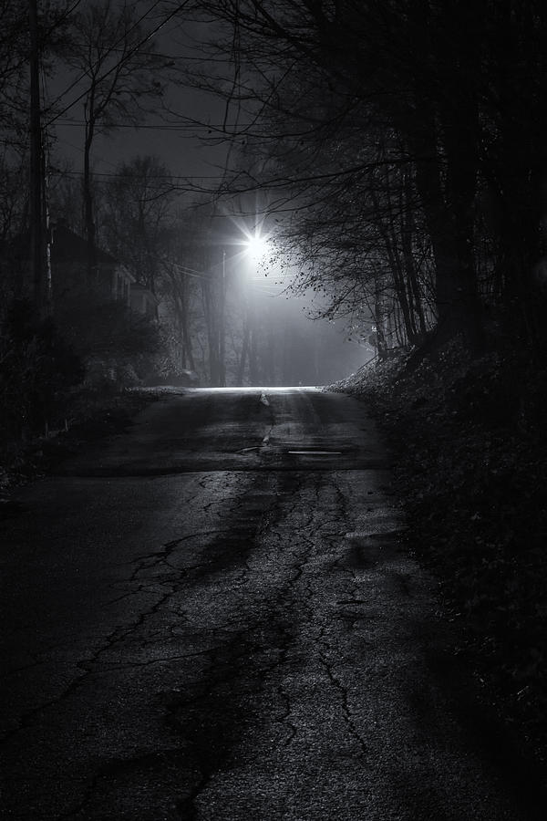 Night Fog Photograph by Tom Singleton