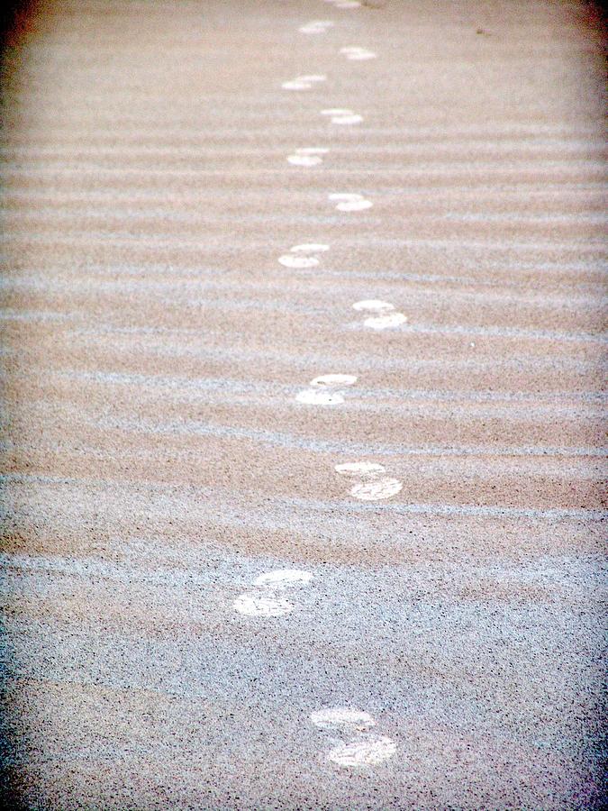 Night Beach Sand Footprints Photograph