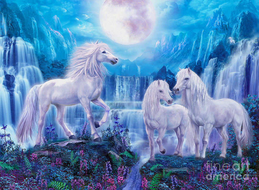 Unicorn Digital Art - Night Horses by MGL Meiklejohn Graphics Licensing