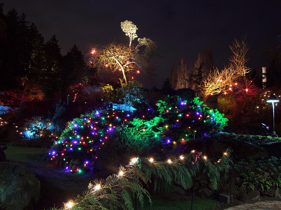 Night In The Sunken Garden No.9 Photograph by Cousins Fine Art