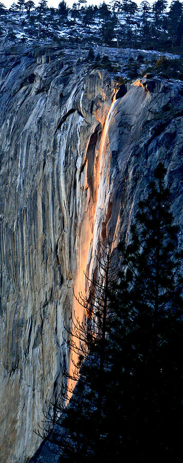 Yosemite National Park Photograph - Night Is Coming by Her Arts Desire