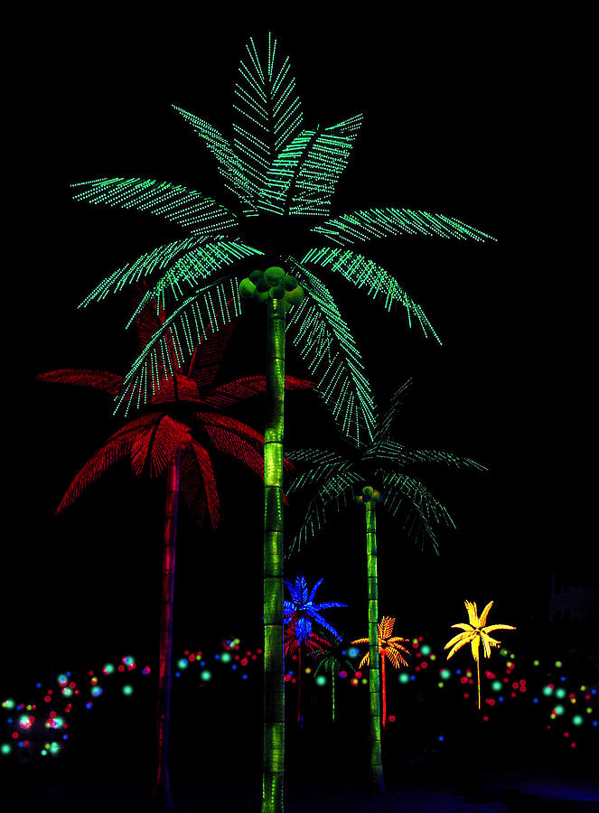 Tree Photograph - Night Lights Electric Palm Trees by Karon Melillo DeVega