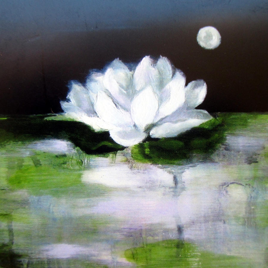 Night Lotus Painting by Kate Hungerford